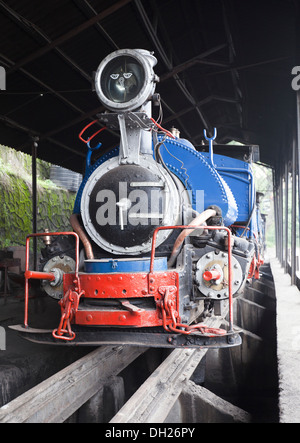 Vintage British-costruito B Classe a scartamento ridotto locomotive a vapore (noto anche come il trenino) a Darjeeling stazione capannone motore Foto Stock