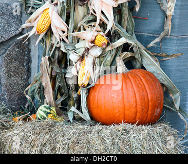 Zucca e stocchi mais su una balla di fieno contro un muro di pietra. Foto Stock