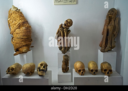 Le Mummie di sacrifici di bambini presso il Museo Archeologico di Ancash, Huaraz, Perù. Foto Stock