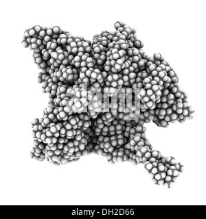 Polipropilene (polipropilene, PP) plastica, struttura chimica. Gli atomi sono rappresentati come sfere con colore convenzionale Foto Stock