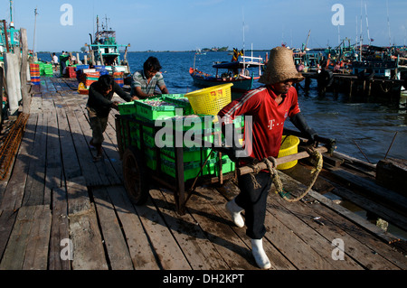 Cambogiano uomini tira la mattina le catture, Sihanoukville, Cambogia. © Kraig Lieb Foto Stock