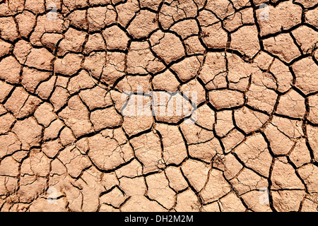 Arido suolo durante la siccità Foto Stock