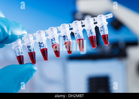 Forniture di PCR per la ricerca genetica Foto Stock