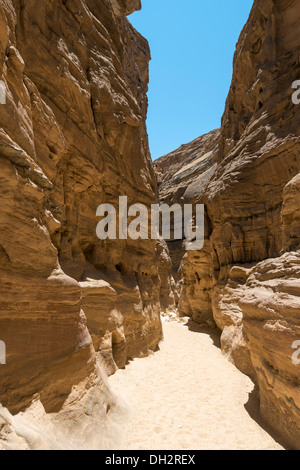 Impressioni di Canyon Colorato, Sinai, Egitto Foto Stock