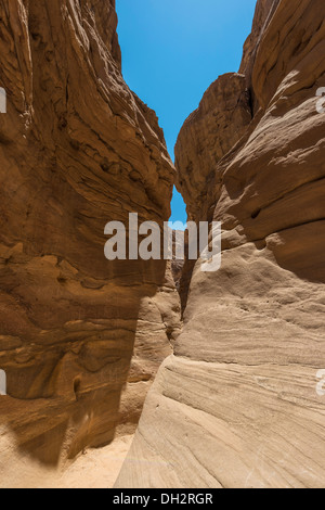 Impressioni di Canyon Colorato, Sinai, Egitto Foto Stock