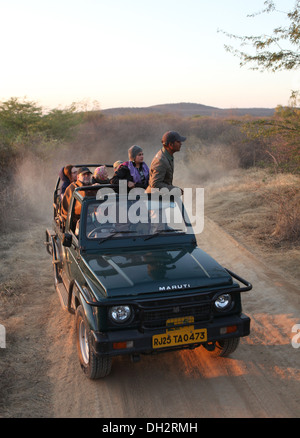 I turisti in una jeep aperta su una tigre safari in Ranthambhore Riserva della Tigre, Sawai Madhopur distretto, Rajasthan, India, Foto Stock