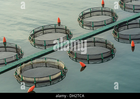 Fonda allevamento ittico, Mare Adriatico, pirano, Slovenia Foto Stock