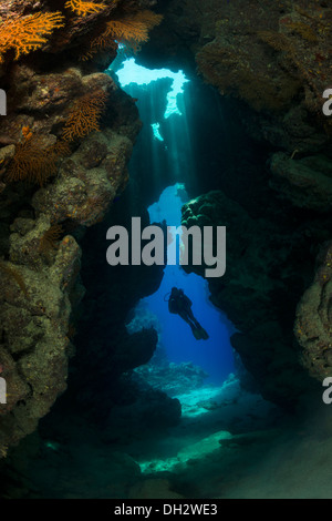 Subacqueo in immersione in grotta, Ras Muhammad, Mar Rosso, Sinai, Egitto Foto Stock