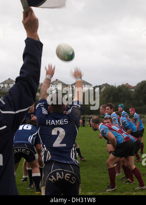 Lineout durante la partita di rugby, Bude, Cornwall, Regno Unito Foto Stock