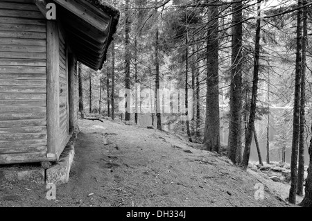 Cottage sul lago in bianco e nero Foto Stock