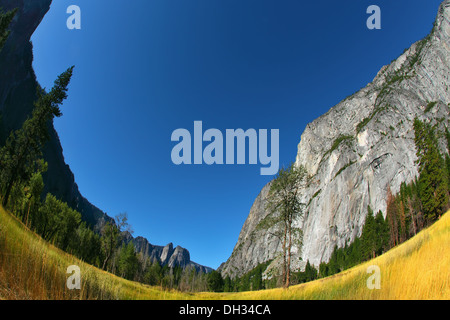 Splendida radura in valle Yosemite Park Foto Stock