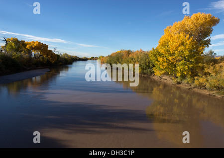 Rio Grande Fiume vicino a San Antonio Village, New Mexico, NEGLI STATI UNITI Foto Stock