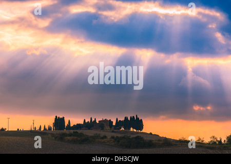 Casa con i famosi cipressi nel cuore della Toscana vicino a Pienza, Italia Foto Stock