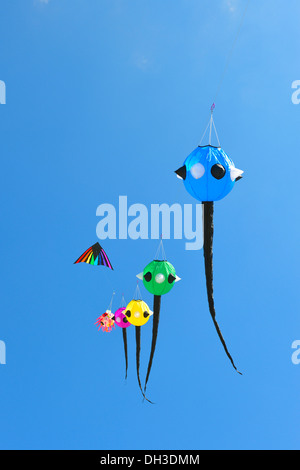 Kites nell'aria, Kite Festival 2012, San Peter-Ording, Schleswig-Holstein Foto Stock