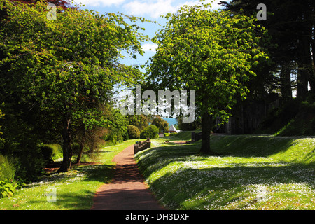 Un percorso tra le linee di alberi decidui con uno scorcio di mare. homeyard giardini botanici, shaldon, Devon. Foto Stock