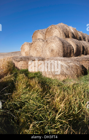 Il fieno impilati sull'erba. Foto Stock