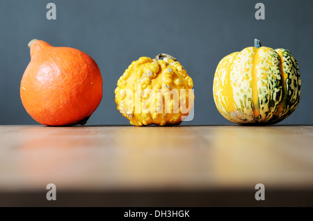 Tre le zucche in una riga su sfondo grigio Foto Stock