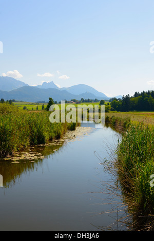 Ach fiume al Lago Hopfensee, Hopfen am See, Algovia, Alta Baviera, Baviera, Germania Foto Stock