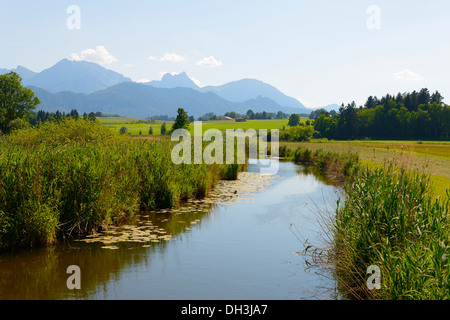 Ach fiume al Lago Hopfensee, Hopfen am See, Algovia, Alta Baviera, Baviera, Germania Foto Stock