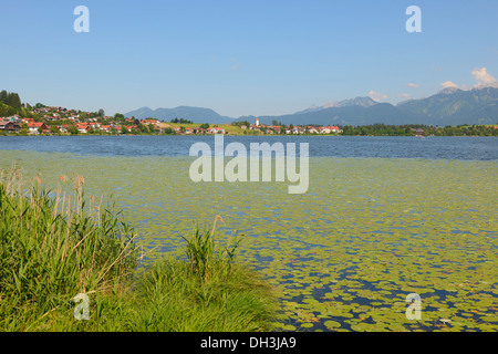 Lago Hopfensee con Hopfen am See, Hopfen am See, Hopfen am vedere,Allgäu, Alta Baviera, Baviera, Germania Foto Stock
