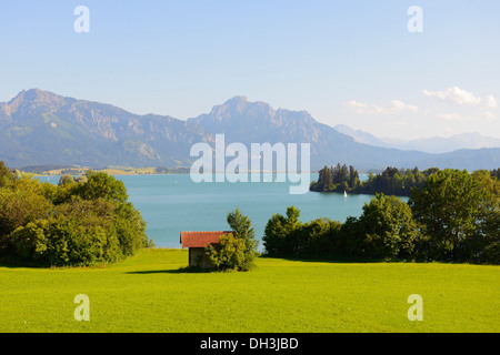 Il lago di Forggen, Füssen Algovia, Alta Baviera, Baviera, Germania Foto Stock