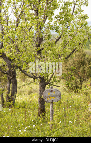 Paesaggio di Bühlchen Foto Stock