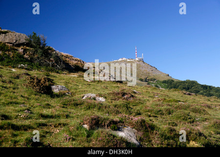 Vista verso la cima di La Rhune montagna, 905m, Paese Basco, Pirenei, regione Aquitania, dipartimento di Foto Stock