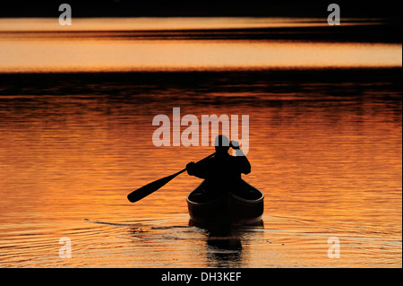 Pagaiando una canoa su un lago nella luce della sera, Algonquin Provincial Park, Ontario, Canada Foto Stock