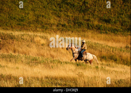 Cowboy a cavallo attraverso la prairie, Cypress Hills, provincia di Saskatchewan, Canada Foto Stock