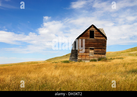 Abbandonate e decadenti casa nella prateria, provincia di Saskatchewan, Canada Foto Stock