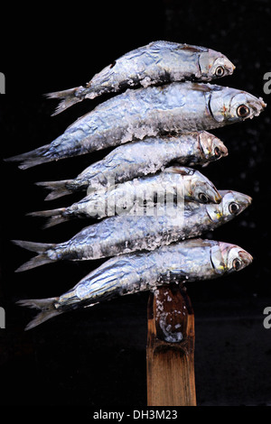 Essendo le sardine grigliate nel sud della Spagna Foto Stock