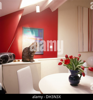 Gatto seduto accanto a radio sul piano di lavoro in moderni loft conversione sala da pranzo con brocca di tulipani rosso su bianco tavolo da pranzo Foto Stock