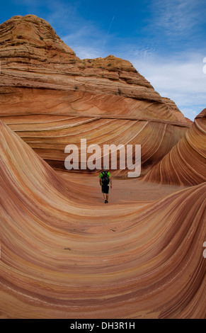 Hikier in onda,coyote buttes north Foto Stock