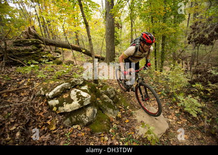 Un mountain biker scorre lungo un sentiero forestale sistema a molle di soffiaggio Park in Bella Vista, Arkansas. Foto Stock