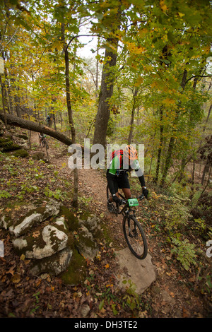 Un mountain biker scorre lungo un sentiero forestale sistema a molle di soffiaggio Park in Bella Vista, Arkansas. Foto Stock