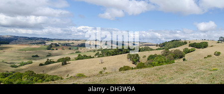 Le aziende agricole al di sotto del Plateau Dorrigo, NSW Australia Foto Stock