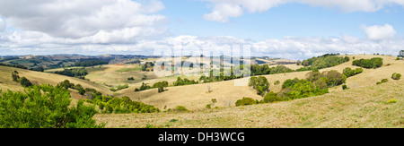 Dorrigo terreni coltivati sotto altopiano Dorrigo NSW Australia Foto Stock