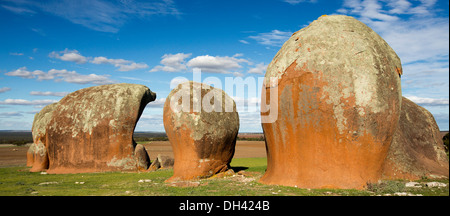 Murphy's haystacks - rosso giganteschi massi di granito, una attrazione turistica su terreno coltivato nei pressi di Ventresche Bay sulla penisola di Eyre SA Foto Stock