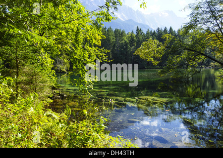 Der Badersee bei Grainau, Garmisch-Partenkirchen, Werdenfels, Bayern, Oberbayern, Deutschland Foto Stock