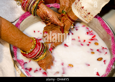 Indian cerimonia di matrimonio gli sposi alla ricerca di anello nella pentola piena di latte e petali di rosa Rajasthan in India Foto Stock