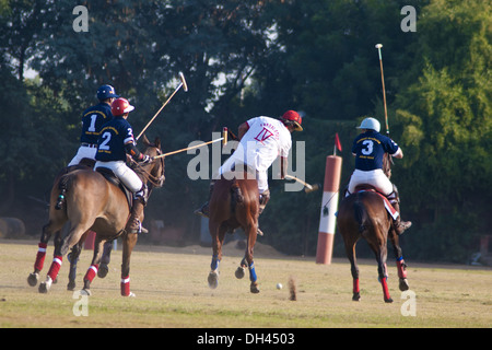 Polo cavallo , sport equestre , giocatori a cavallo su cavalli che colpiscono la palla , jodhpur , Rajasthan , India , asia Foto Stock