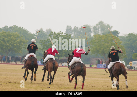 Polo cavallo , sport equestre , giocatori a cavallo su cavalli che colpiscono la palla , jodhpur , Rajasthan , India , asia Foto Stock