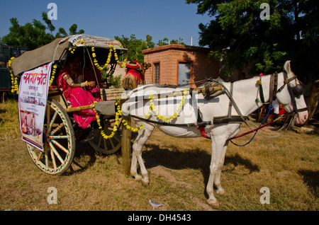 Carrello di cavallo decorato per festival , jodhpur , rajasthan , India , asia Foto Stock