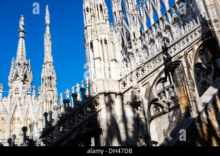 Dettaglio del duomo di Milano Foto Stock