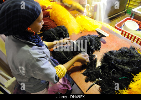 Donna che lavorano in piume di struzzo factory Sudafrica nessun modello di rilascio solo per uso editoriale Foto Stock