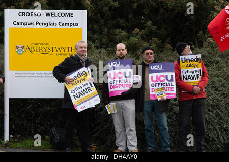 Aberystwyth Wales UK, giovedì 31 Ott 2013 membri di unire, Unison e UCU (Università e College unione) di picchetti fuori Aberysytwyth University in segno di protesta contro l'attuale offerta pay. Giunto il giorno di azione dai tre principali istruzione sindacati del settore è nel perseguimento dei loro crediti per "retribuzione equa nel settore dell istruzione superiore' Credit: keith morris/Alamy Live News Foto Stock