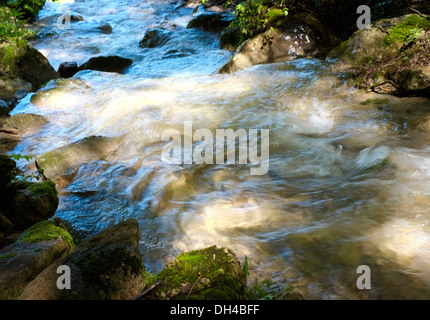 Close-up di fiume con acqua che scorre in Arco, Trento, Italia Foto Stock