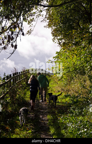 Bambini i cani a piedi su un sentiero pubblico al Bailbrook Batheaston Somerset England Regno Unito Foto Stock
