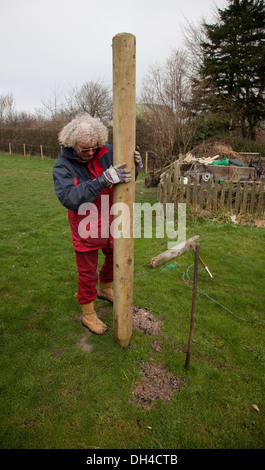 Post perforatore attaccatura in azione REGNO UNITO Foto Stock