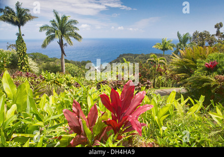 Giardino Botanico in Hawaii e la Roccia Keopuka si affacciano Foto Stock